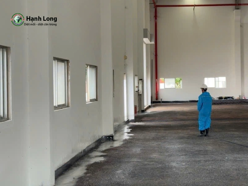 diệt mối tận gốc tại quận 4