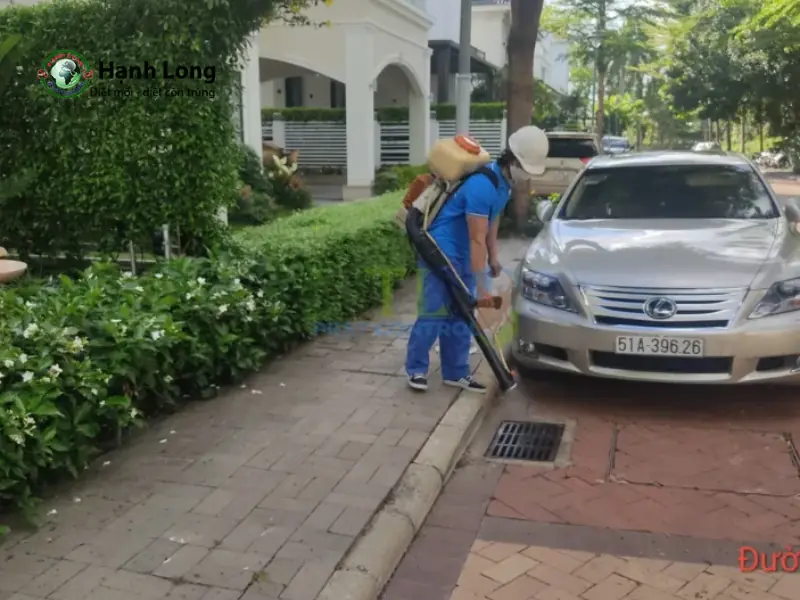 Công ty xử lý muỗi Trần Long