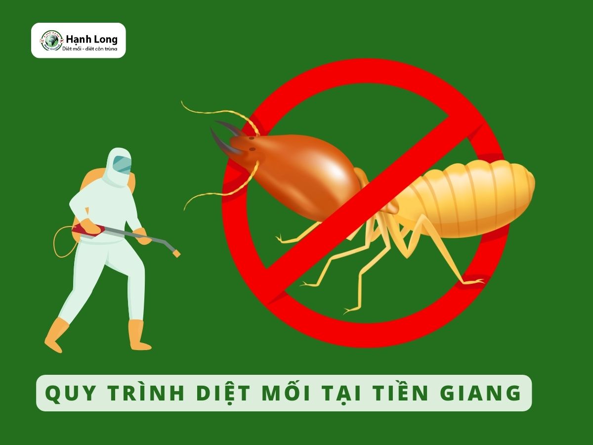 Quy trình xử lý mối tại Tiền Giang