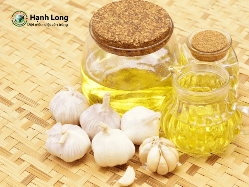 cách đuổi muỗi bằng tỏi cách đuổi muỗi bằng tỏi