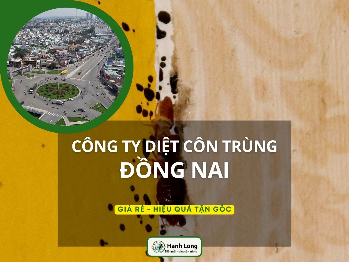 Diệt côn trùng tại Đồng Nai