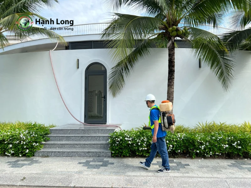 thuốc mối công trình