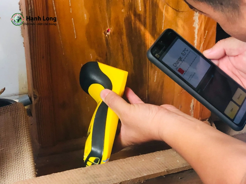 diệt mối tận gốc tại quận 9