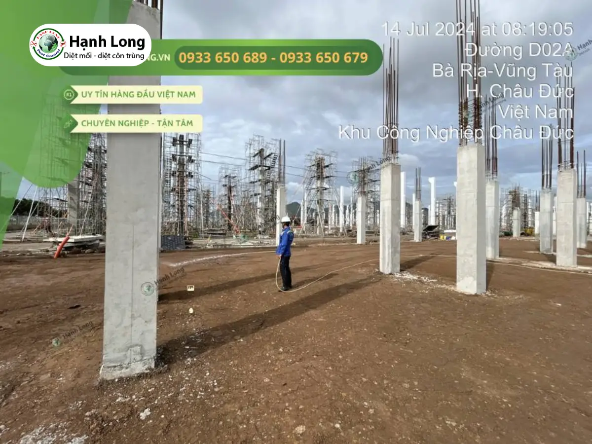 cách trị mối đất