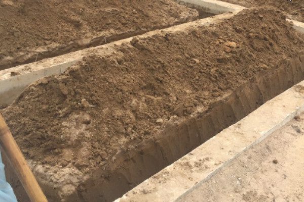 chống mối khi nhà mới xây