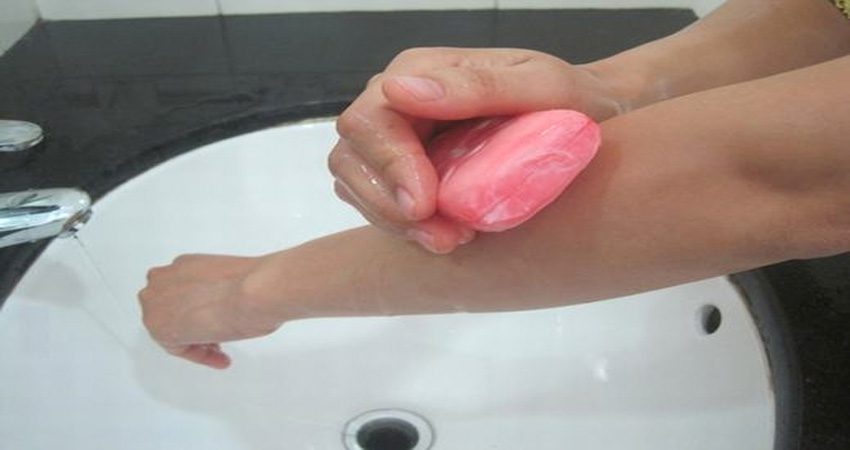 rửa vết thương do kiến ba khoang cắn bằng xà phòng