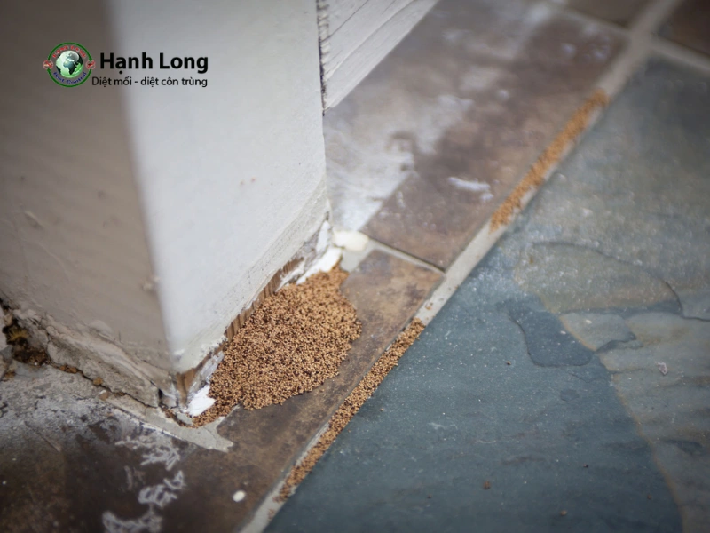 Mức độ nguy hiểm và thiệt hại của từng loại mối Mức độ nguy hiểm và thiệt hại của từng loại mối