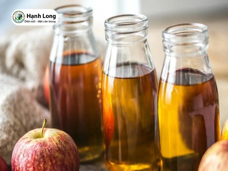 cách diệt mối bay vào nhà