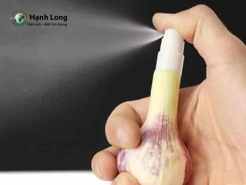 cách đuổi muỗi bằng tỏi cách đuổi muỗi bằng tỏi