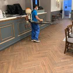 Dịch vụ diệt kiến