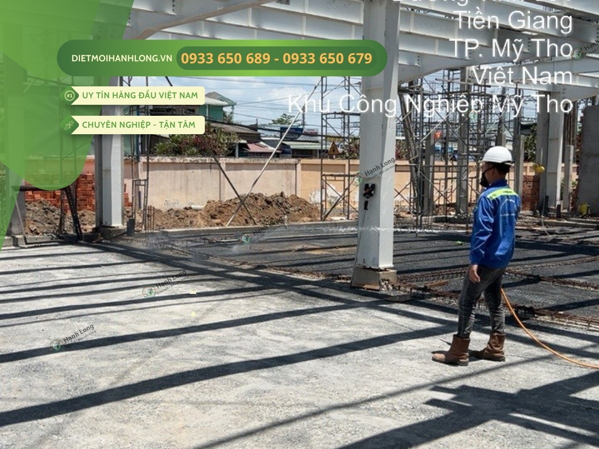 Triển khai chống mối nhanh chóng, chuyên nghiệp