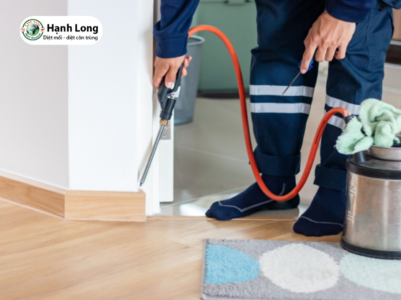 Dịch vụ Phòng chống mối nhà dân