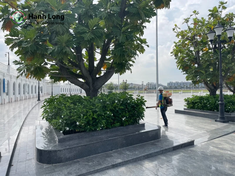 diệt côn trùng giá rẻ
