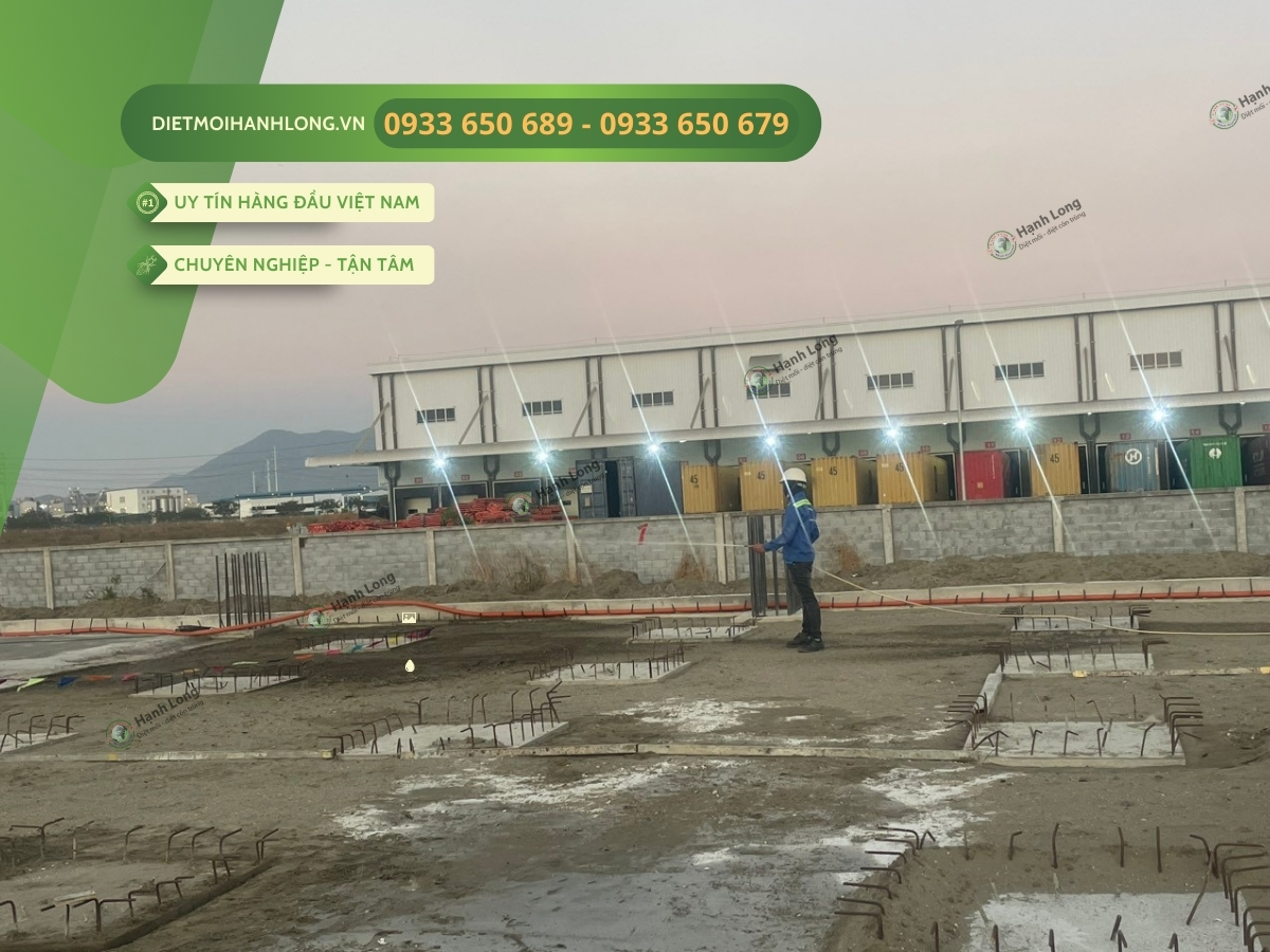 Thi công chống mối tại Phú Mỹ Vũng Tàu