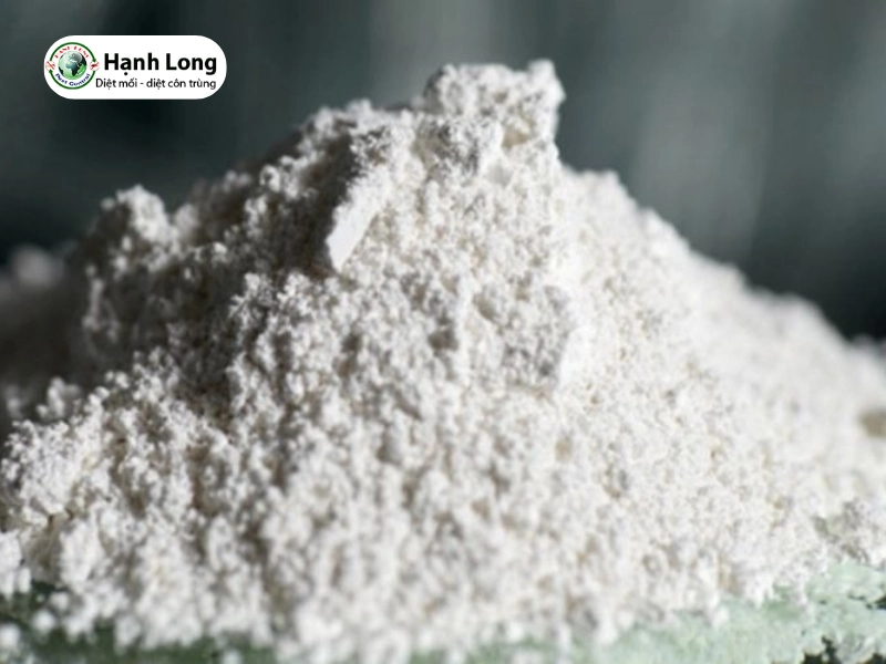 nguyên nhân mối mọt