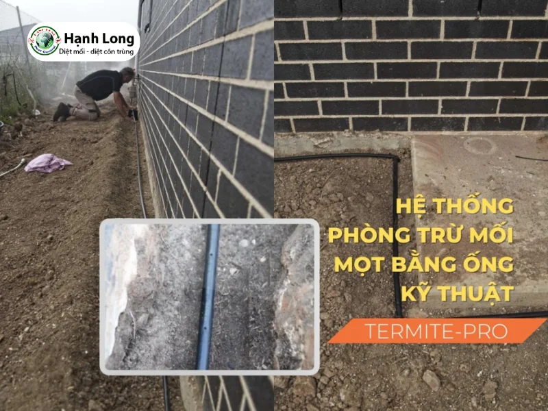Hệ thống chống mối Termite-pro