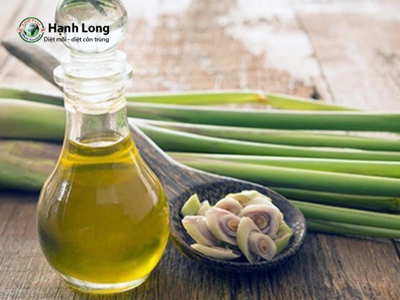 cách đuổi muỗi trong phòng ngủ bằng sả cách đuổi muỗi trong phòng ngủ bằng sả