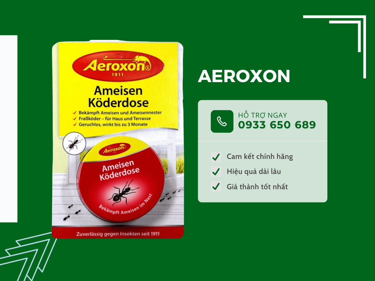 Hộp diệt kiến Aeroxon