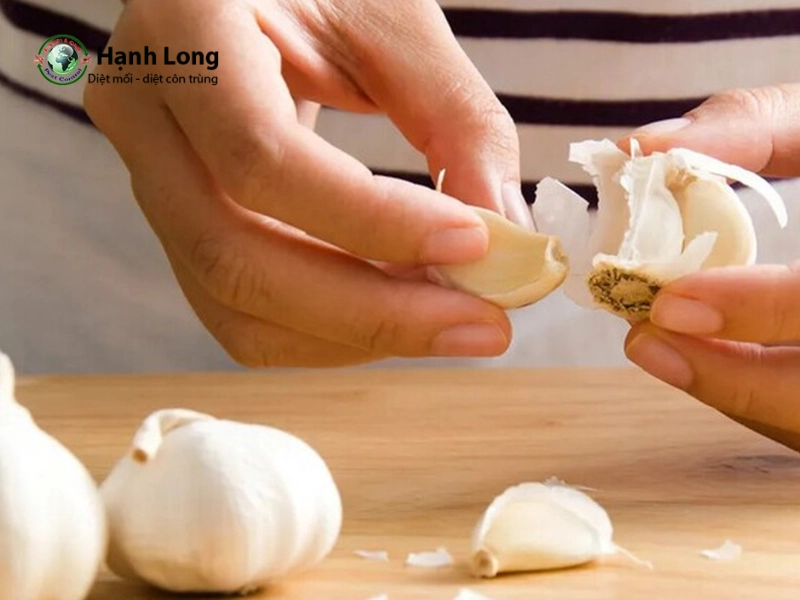 đuổi muỗi bằng tỏi đuổi muỗi bằng tỏi