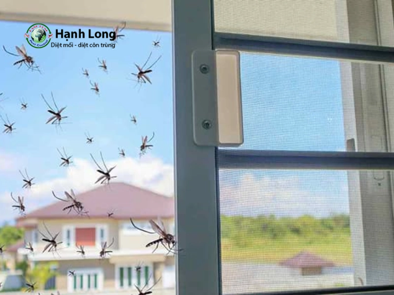 diệt muỗi trong nhà diệt muỗi trong nhà