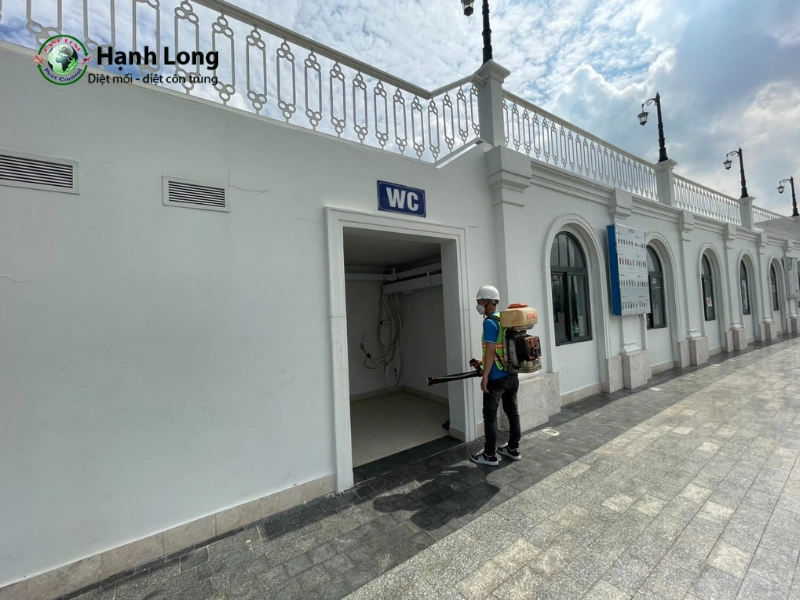 dịch vụ diệt muỗi quận 6 dịch vụ diệt muỗi quận 6