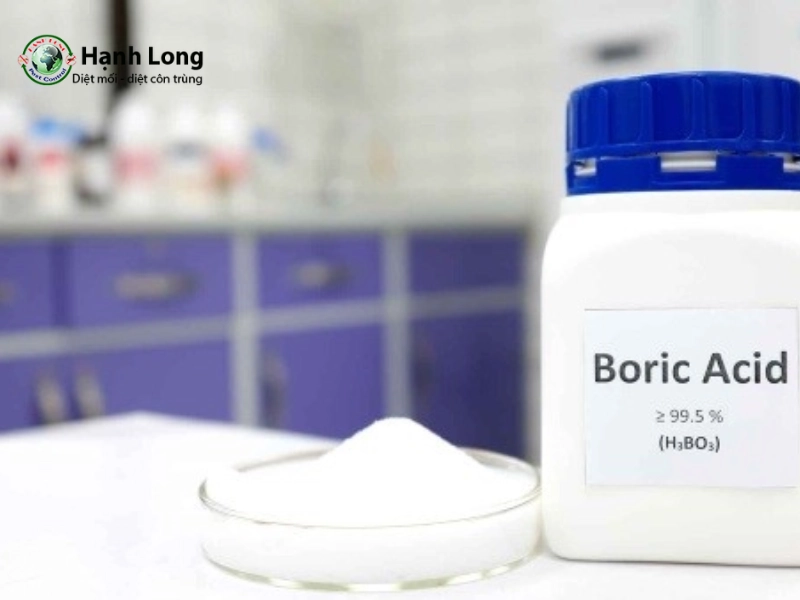 cách trị mối mọt tại nhà