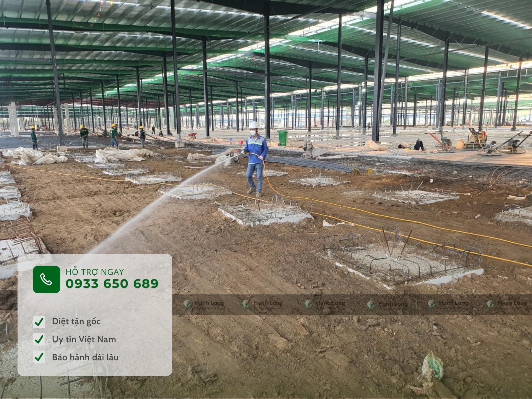 Phòng chống mối Bà Rịa - Vũng Tàu