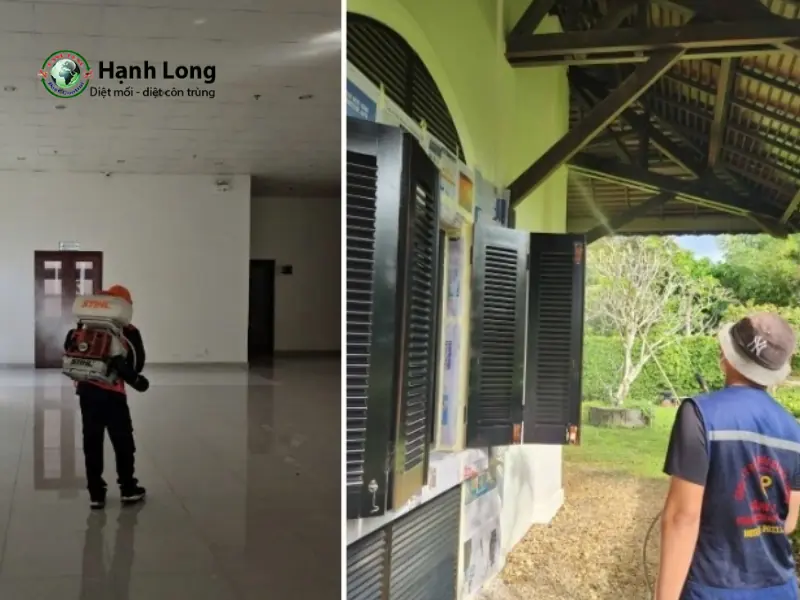 Công ty Diệt Mối Tâm Phát