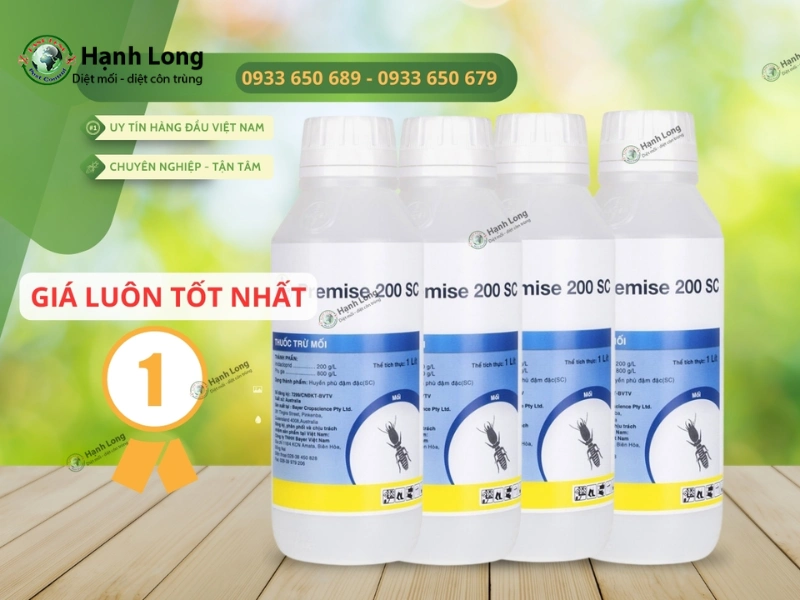 cách diệt mối dưới nền nhà
