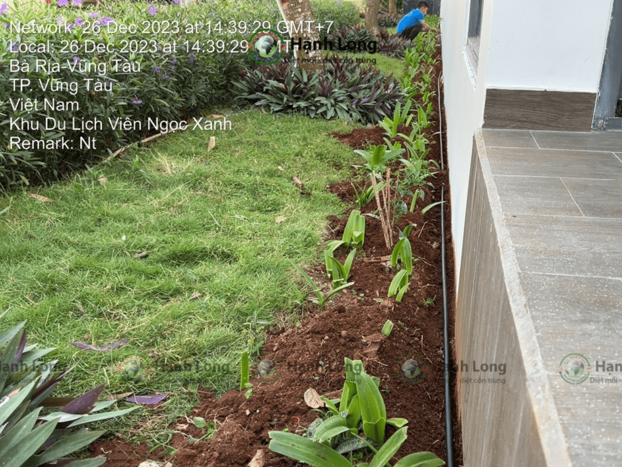 Lắp đặt hệ thống bảo trì chống mối Termite Pro tại Villas Vũng Tàu