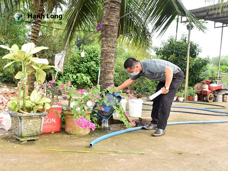 con muỗi đẻ ra con gì