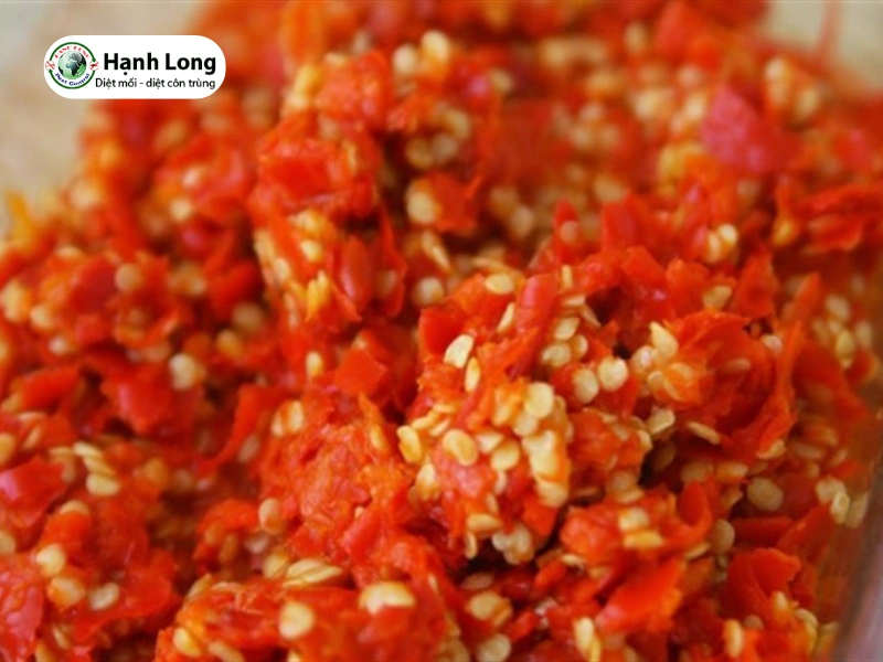 cách trị mối ăn gỗ