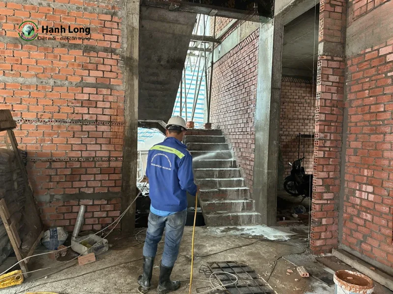công ty diệt mối quận 2