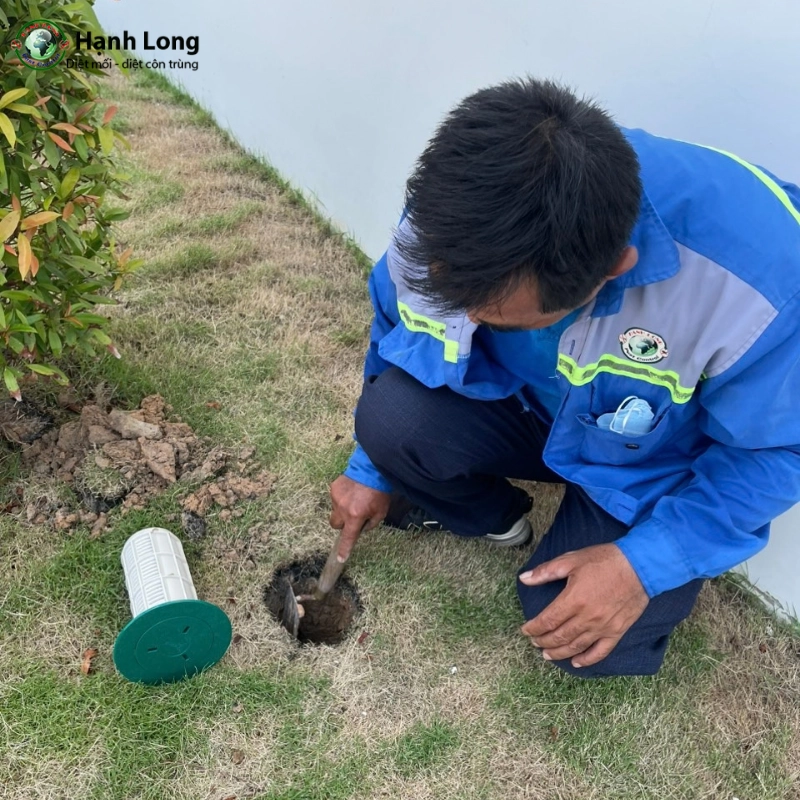 Hệ thống dẫn dụ và bẫy sinh học 