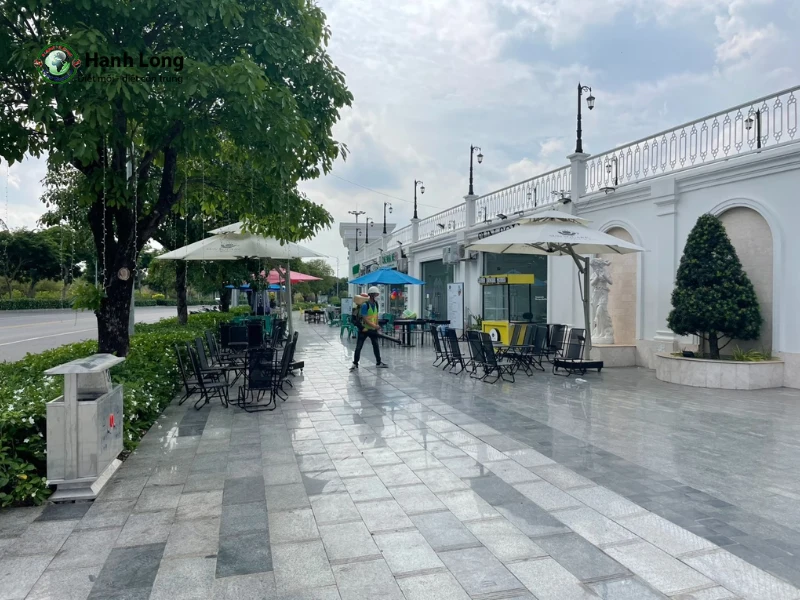 phương pháp diệt mối an toàn