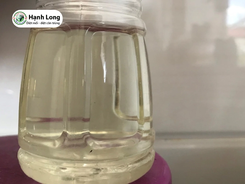 cách diệt mối cánh