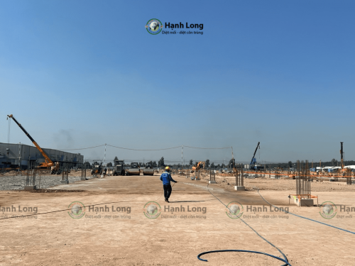 Triển khai thi công chống mối cho khu công nghiệp Long Thành