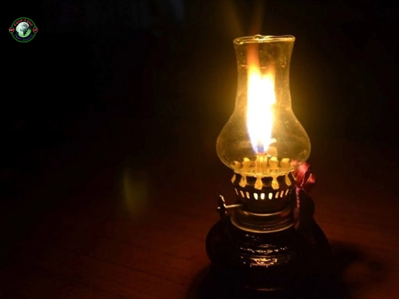 cách trị mọt gỗ tại nhà