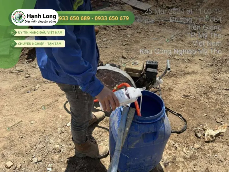 cách diệt mối gỗ ẩm