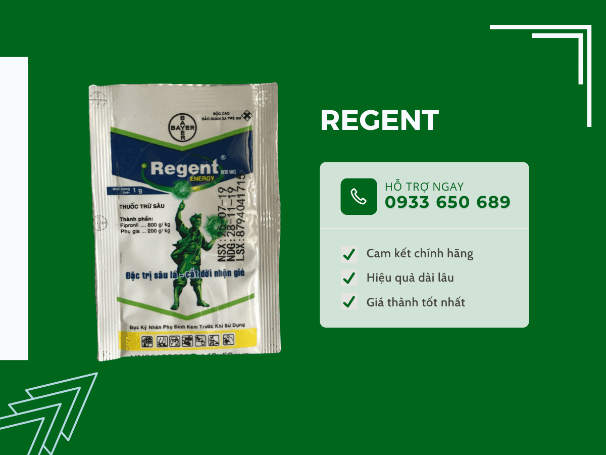 Thuốc diệt kiến Regent
