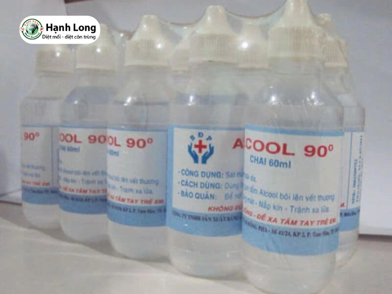 cách tìm mối chúa