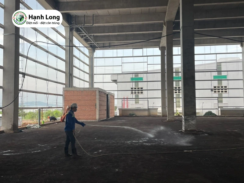 xử lý chống mối nền móng