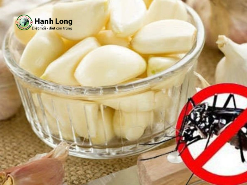 cách diệt muỗi trong nhà cách diệt muỗi trong nhà