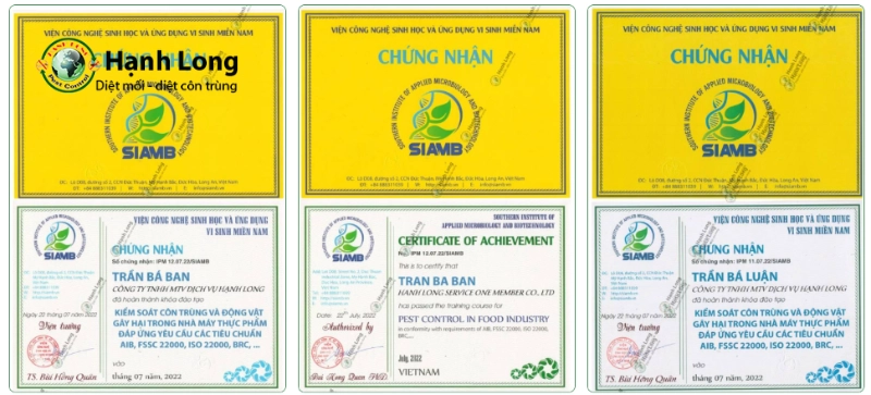 dịch vụ diệt mối tại nhà