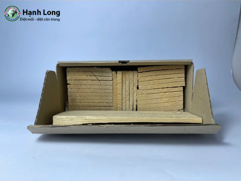 cách diệt mối sàn gỗ