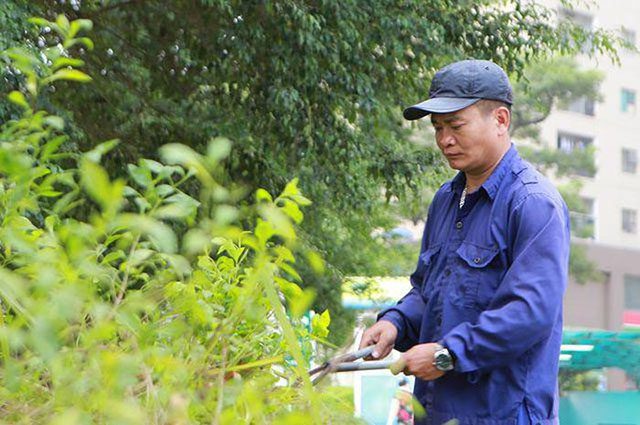 cách ngăn chặn rắn vào nhà 5