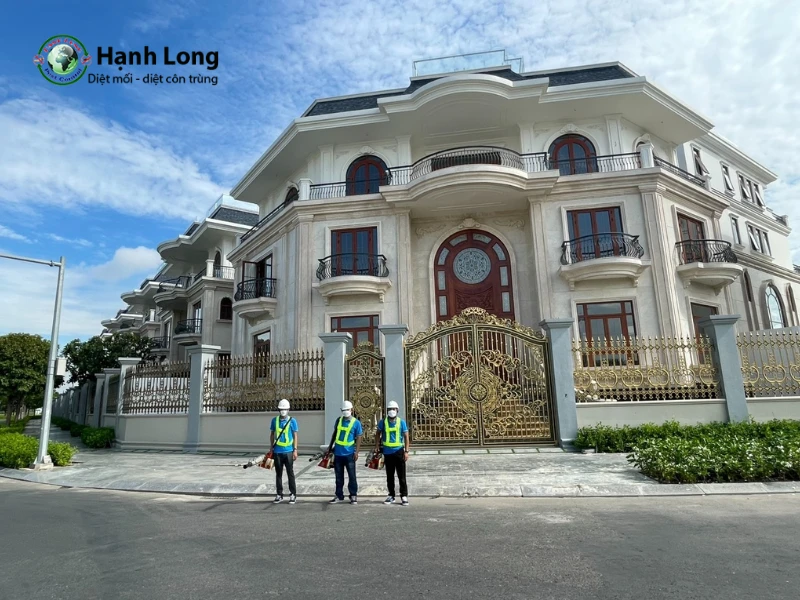 diệt mối hcm