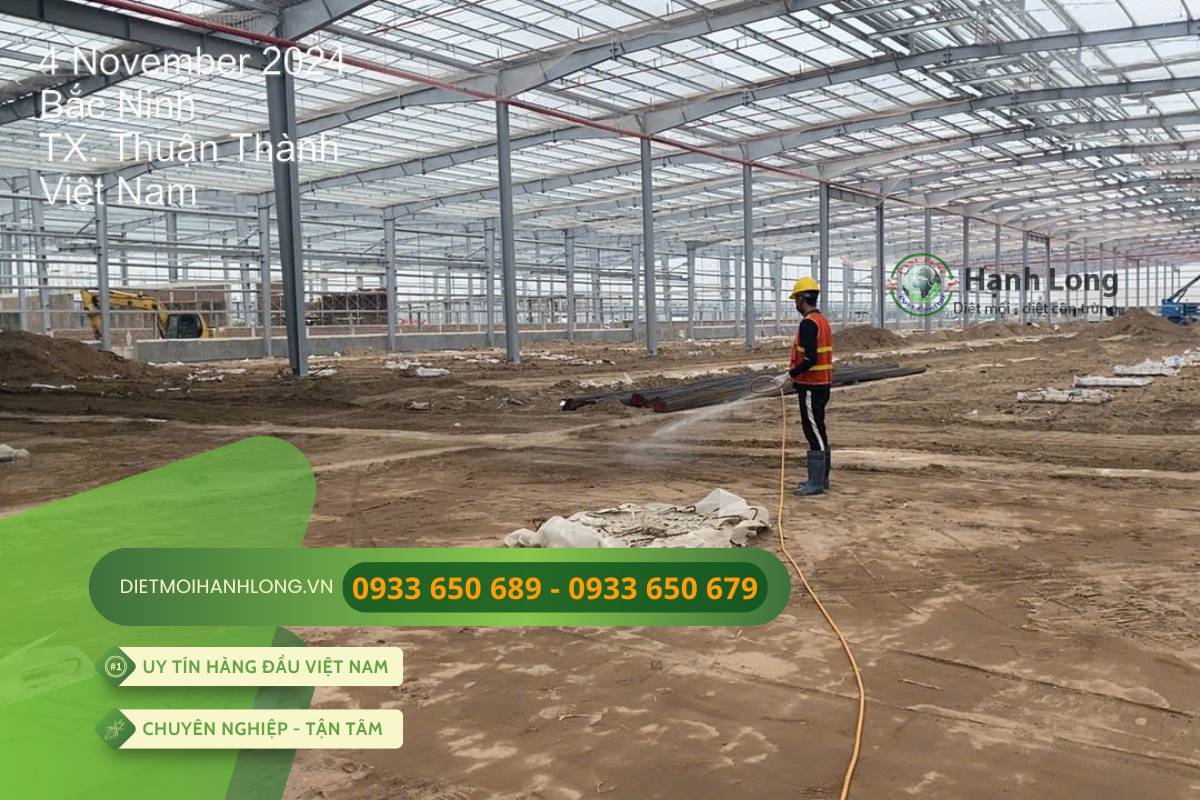 Triển khai thi công chống mối thực tế tại dự án KCN Bắc Ninh