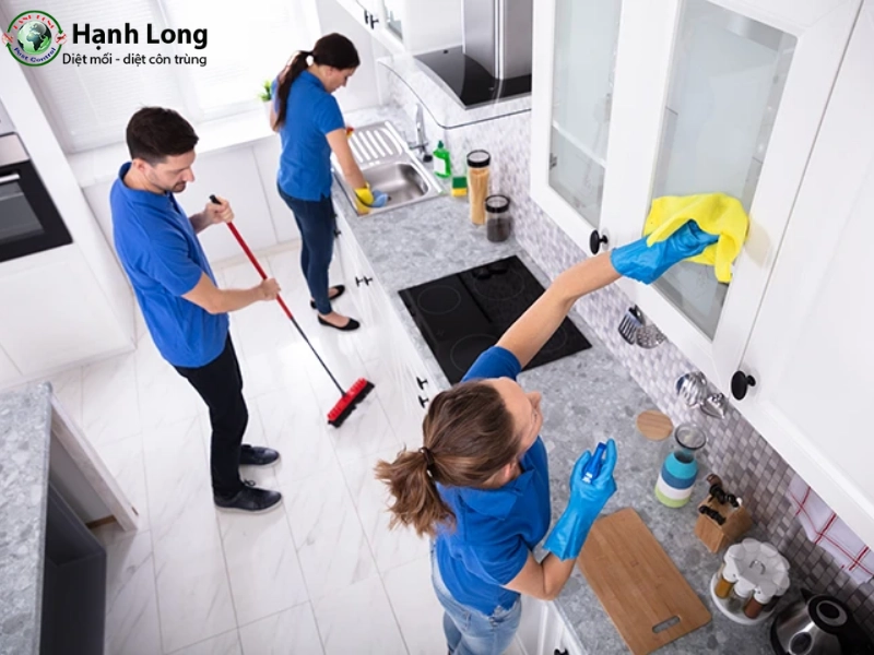 Các biện pháp diệt côn trùng tự nhiên tại nhà