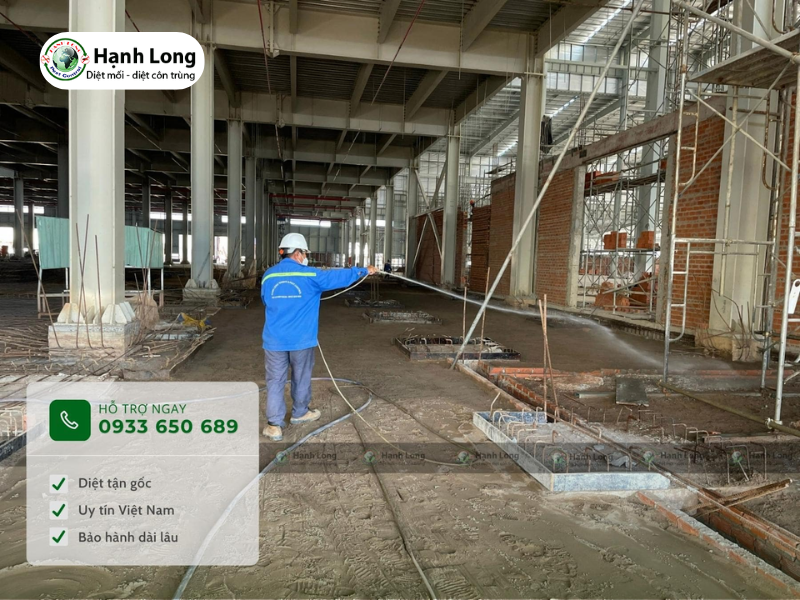 Dịch vụ Phòng chống mối công trình xây dựng